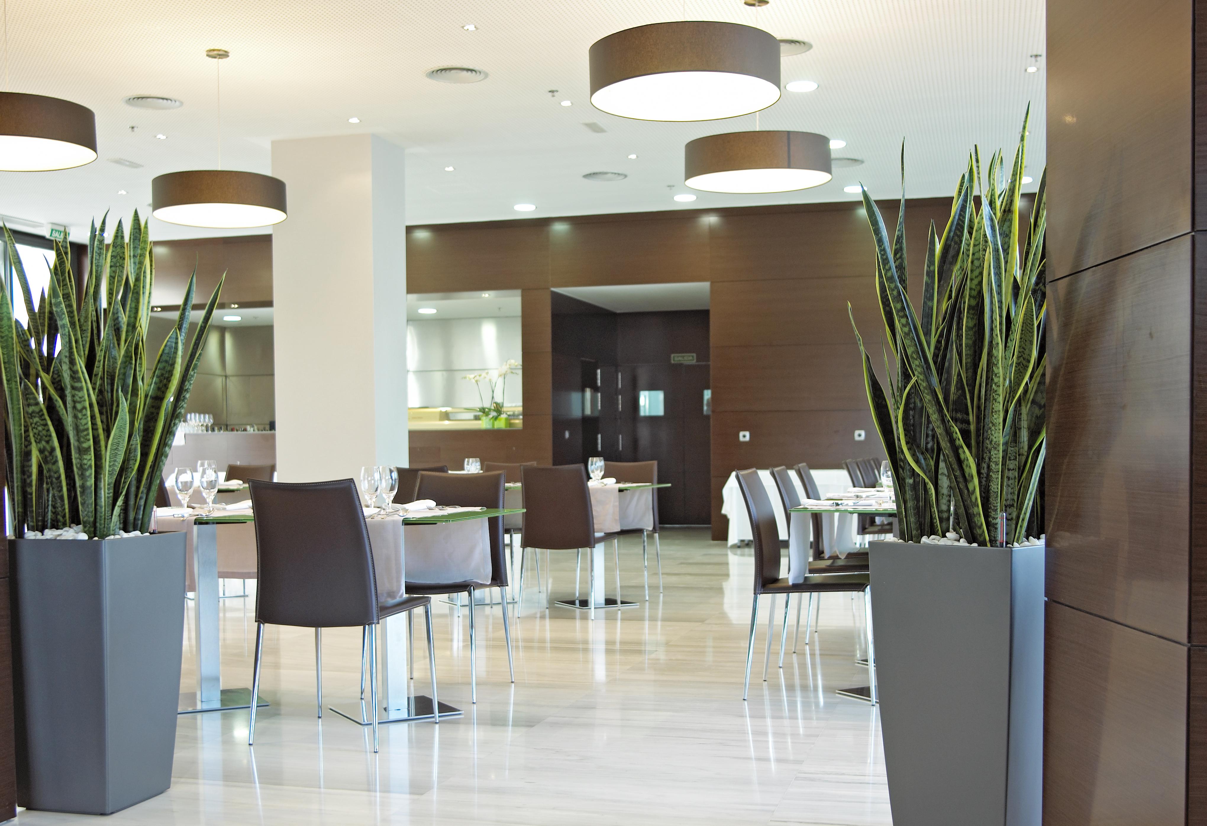 Sercotel Jc1 Murcja Restauracja zdjęcie